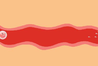 备孕有必要做孕前检查吗,四十岁备孕孕前检查哪些项目