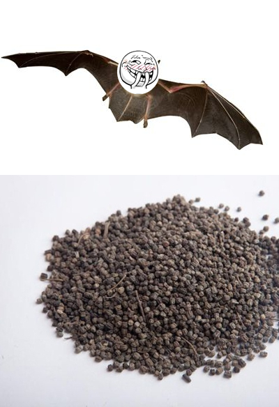 这些垃圾食品你吃过吗,这些臭臭的美食你吃过没