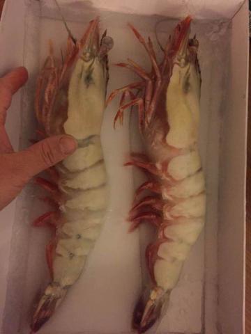 一斤25只的基围虾大不大呀,1斤基围虾可以出多少虾肉