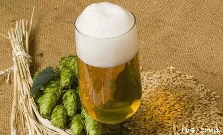 农村有什么好的种植项目,农村种植创业项目推荐