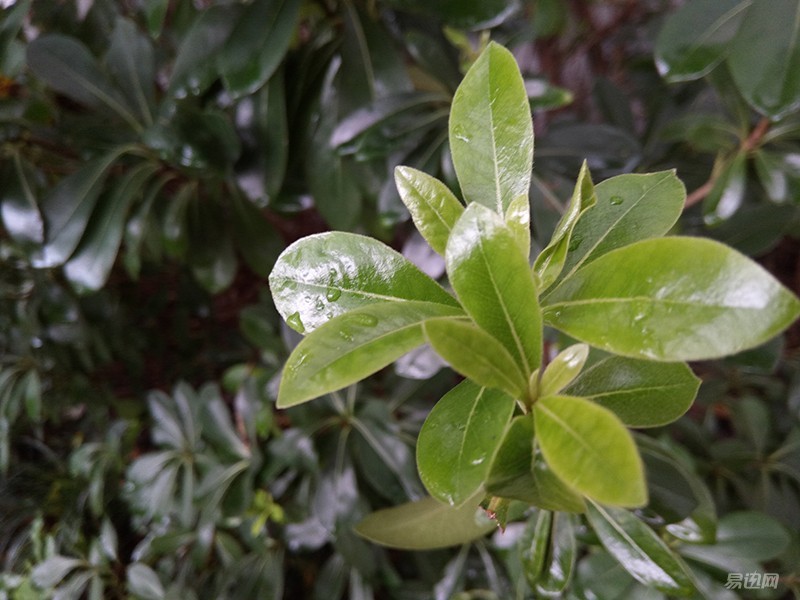 360n4s体验测评,360n4s骁龙版评测