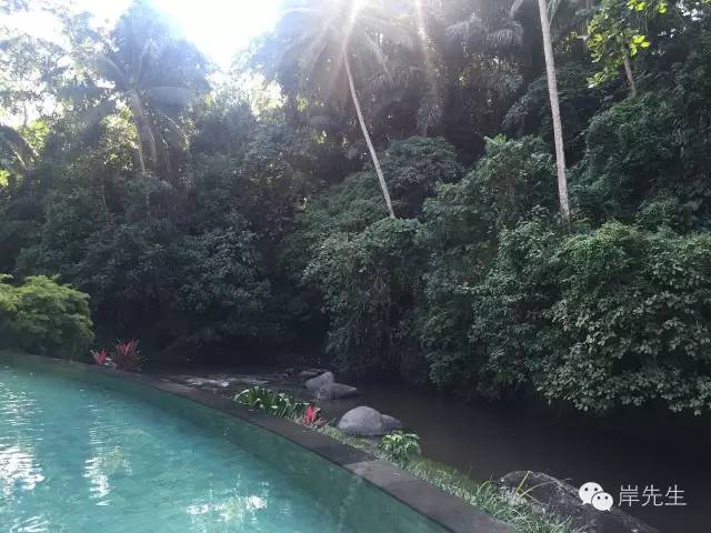 巴厘岛六天自由行攻略,巴厘岛旅游攻略spa