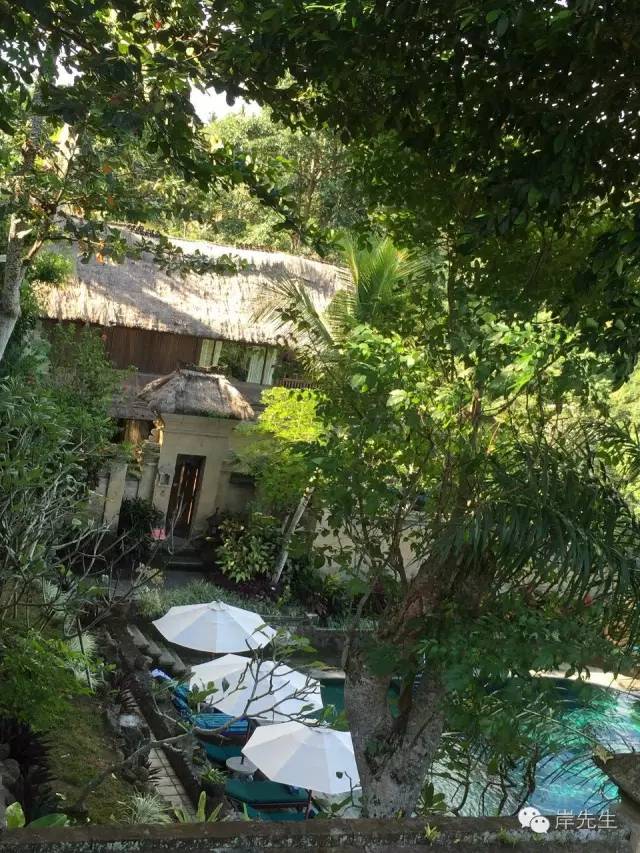 巴厘岛六天自由行攻略,巴厘岛旅游攻略spa