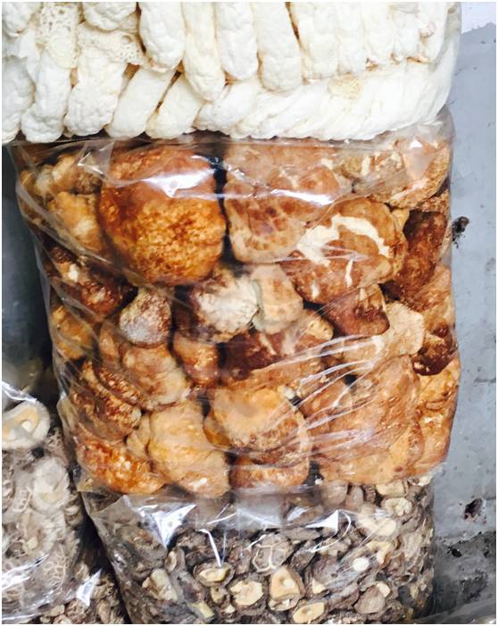 荔湾区中医养生调理,荔湾保健养生