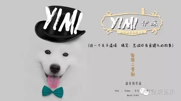 前方萌宠来袭！这些大陆宠物剧你都看过吗？