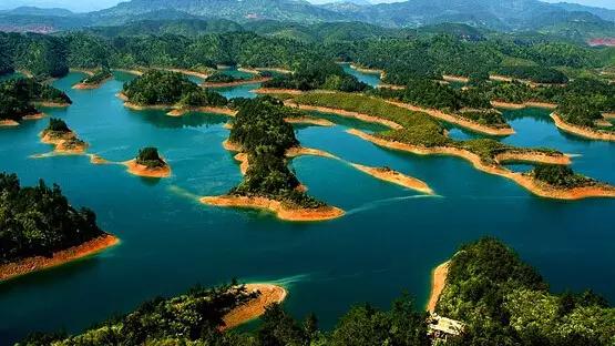 农业电商运营方式分析,农业电商平台运营模式