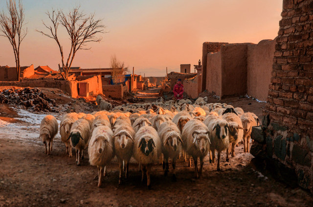 一起去大西北流浪,一起去大西北沙漠