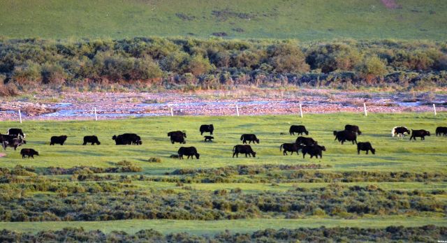 一起去大西北流浪,一起去大西北沙漠