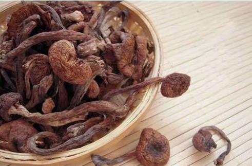 东北三宝有哪几宝,东北四宝的特产