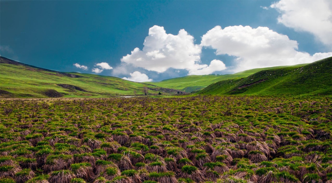险过独库，美过101，伊犁还私藏着这样一条经典之路！