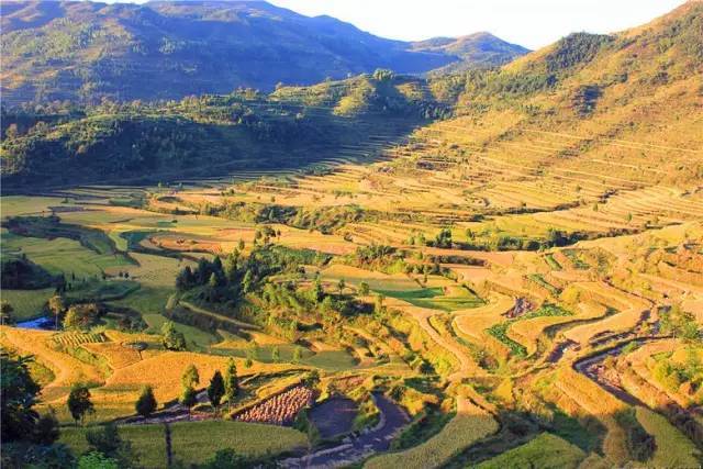 东南第一山私藏浙南最美的风情,浙江山林美宿攻略