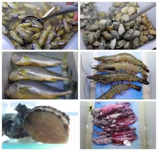 苏州餐厅排行榜前十名火锅,苏州排名前十餐厅视频