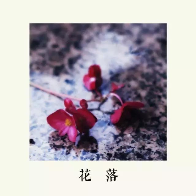 梦里花落知多少全文,梦里花落知多少原唱