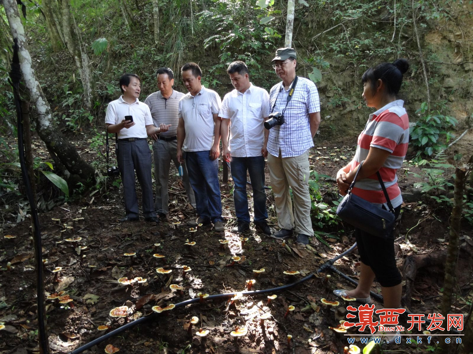 浙大扶贫,高校脱贫攻坚政策