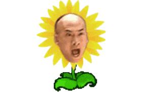 撩妹幽默段子搞笑,撩妹搞笑段子经典