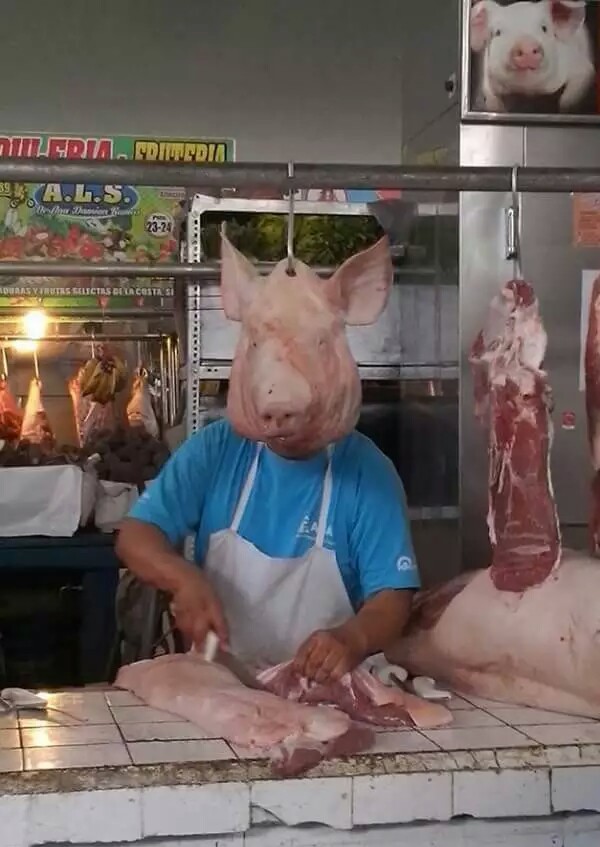 笑话段子小明滚出去,小明滚出去的笑话