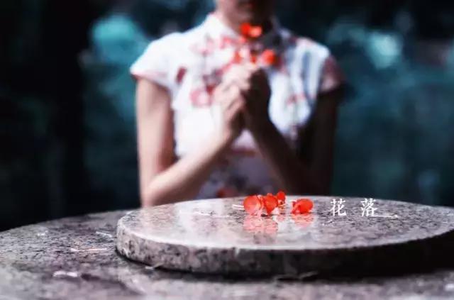 梦里花落知多少全文,梦里花落知多少原唱