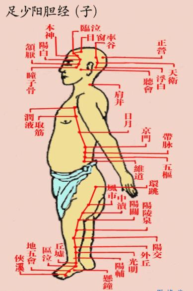 胆经淤堵头痛头晕,胆经堵塞长痘痘