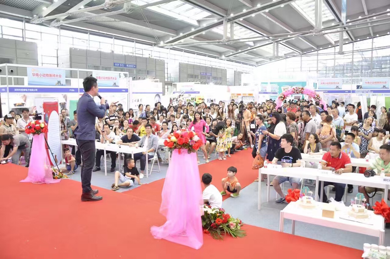 宠物婚礼,宠物婚礼恭喜视频