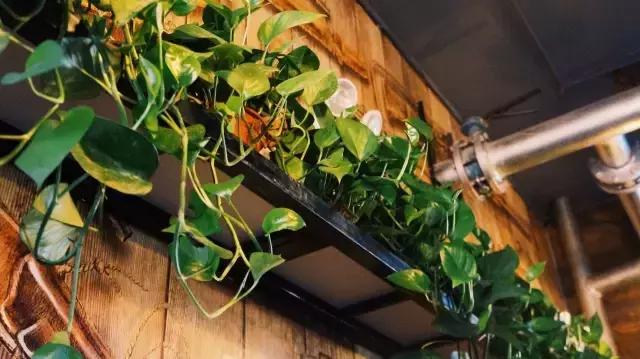 保定10家最值得去的餐厅,保定十大好吃的餐厅