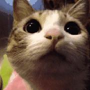 大学生兼职诈骗人多吗,兼职被骗有哪些套路