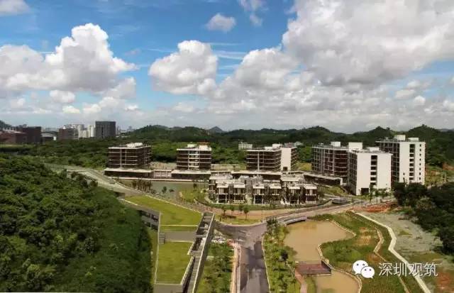 上海黄金交易所深圳运营中心,深圳黄金交易所