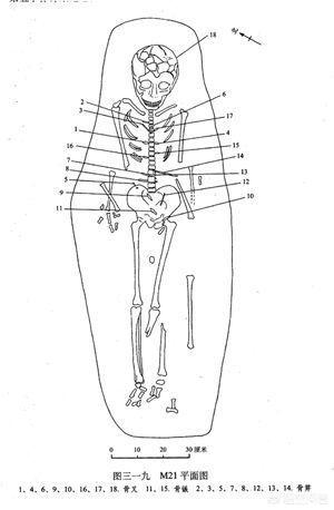 7300年前，陕西临潼的一起*杀凶**案，死者是一位16岁的年轻妹子