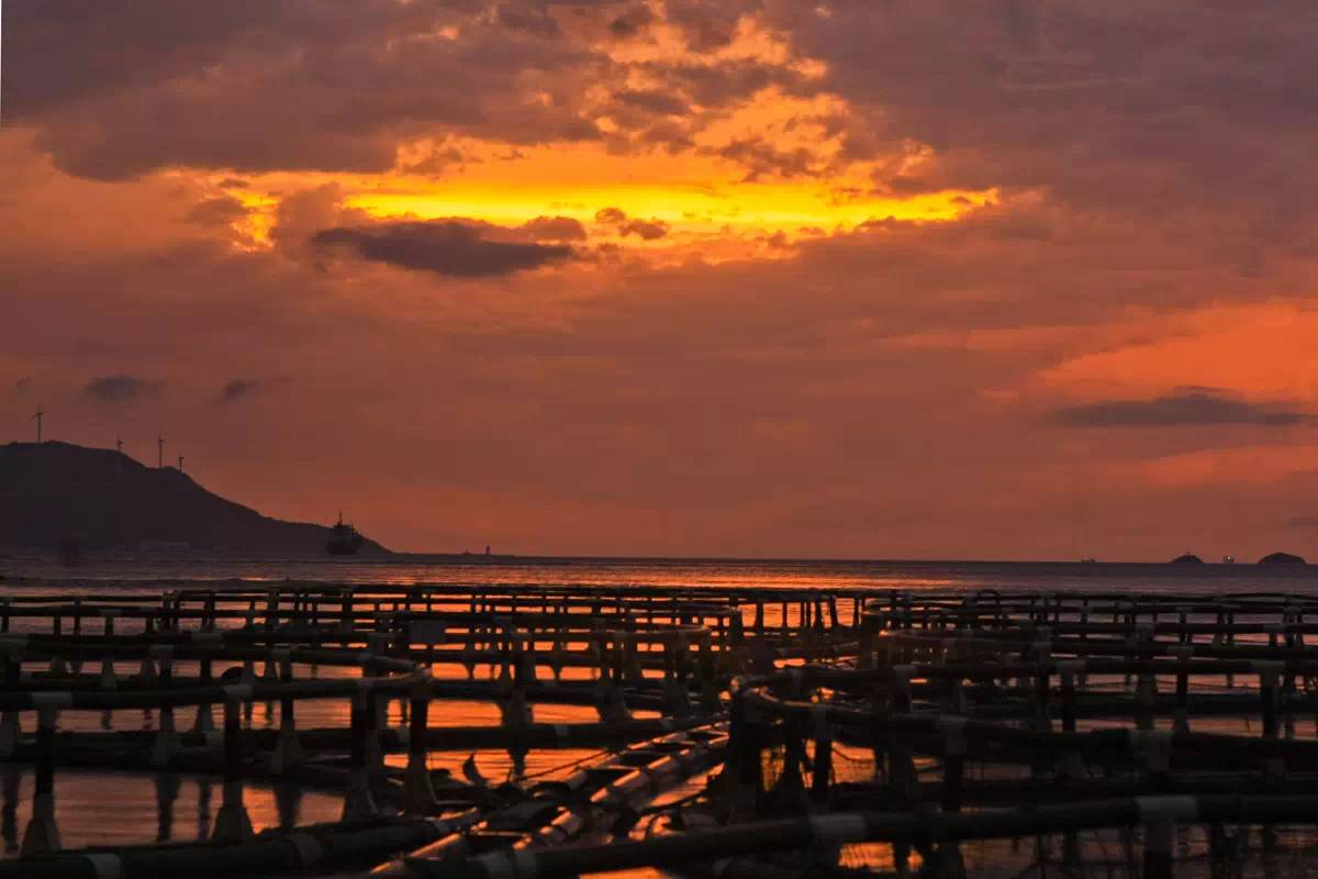 舟山自驾之旅完美收官,自驾游舟山哪个岛最值得去