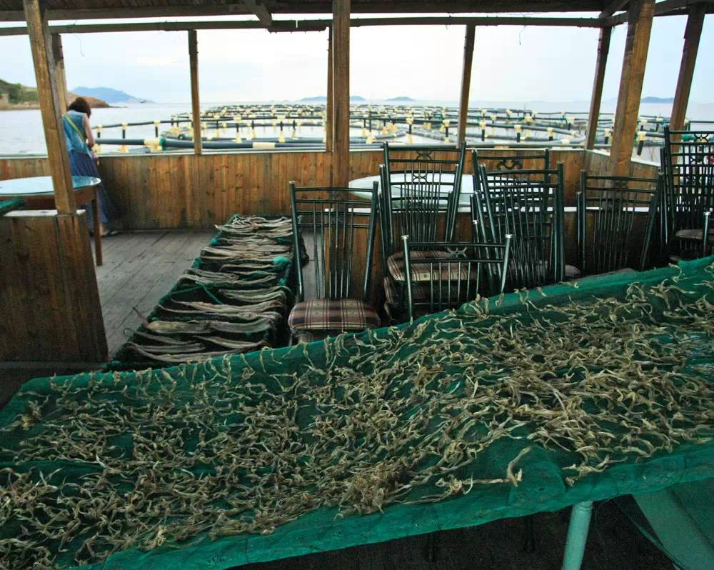 舟山自驾之旅完美收官,自驾游舟山哪个岛最值得去