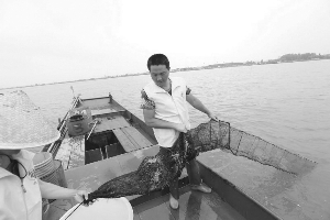 苏州阳澄湖大闸蟹今起陆续上市,六月黄蟹和阳澄湖大闸蟹的区别