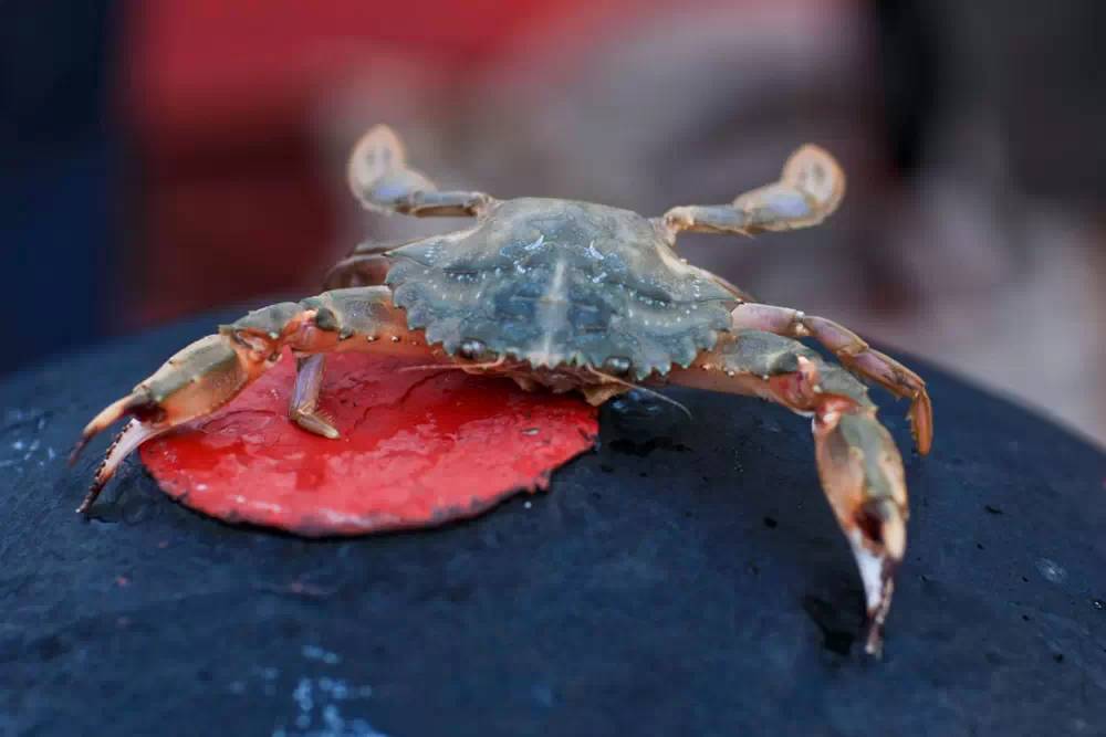 舟山自驾之旅完美收官,自驾游舟山哪个岛最值得去