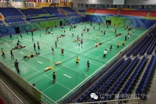 何必花钱去健身？沈阳市公共体育场馆“随便挑”