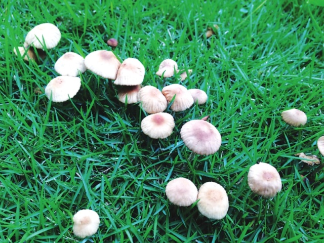 一起去大西北流浪,一起去大西北沙漠