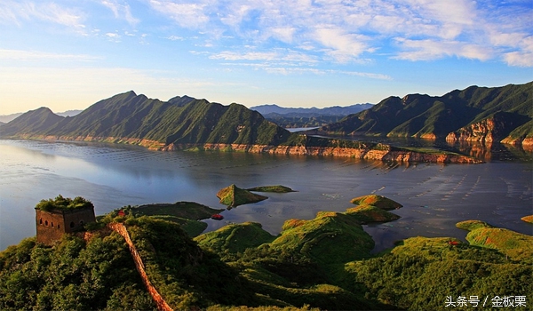 金栗网络科技有限公司,金板栗网最新招商