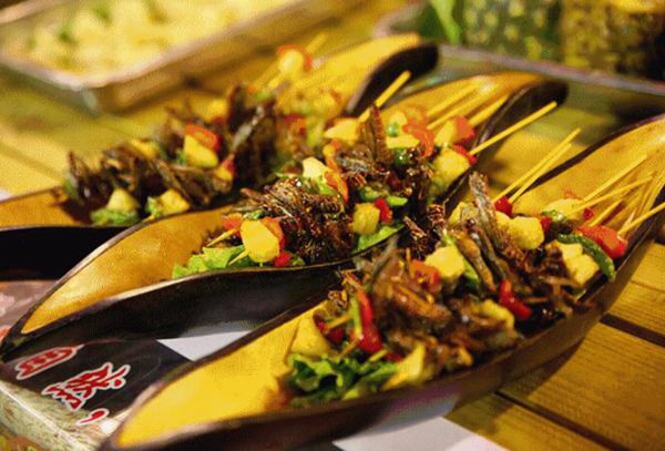 暑假最适合在哪里玩大理洱海,暑假去哪玩西双版纳