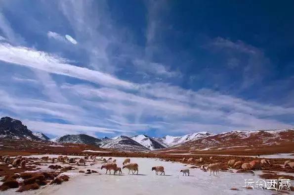 我的旅游日记藏西秘境攻略,西藏旅游攻略