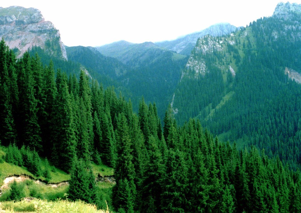 险过独库，美过101，伊犁还私藏着这样一条经典之路！