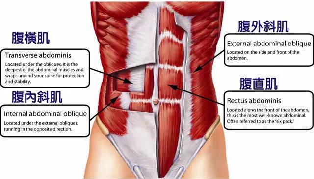 翘臀马甲线训练计划女生,美女塑造腹肌及马甲线必学