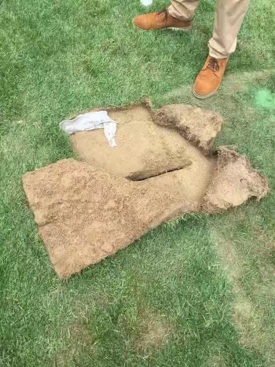 鸟巢德比事件,2021世界冠军杯鸟巢