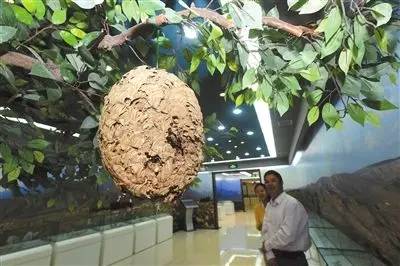 银川真的适合带孩子去吗,银川免费好玩的地方推荐