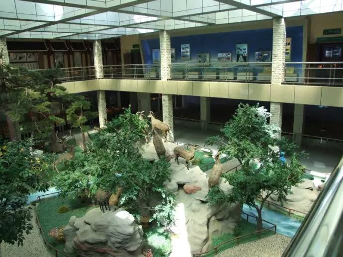 银川真的适合带孩子去吗,银川免费好玩的地方推荐