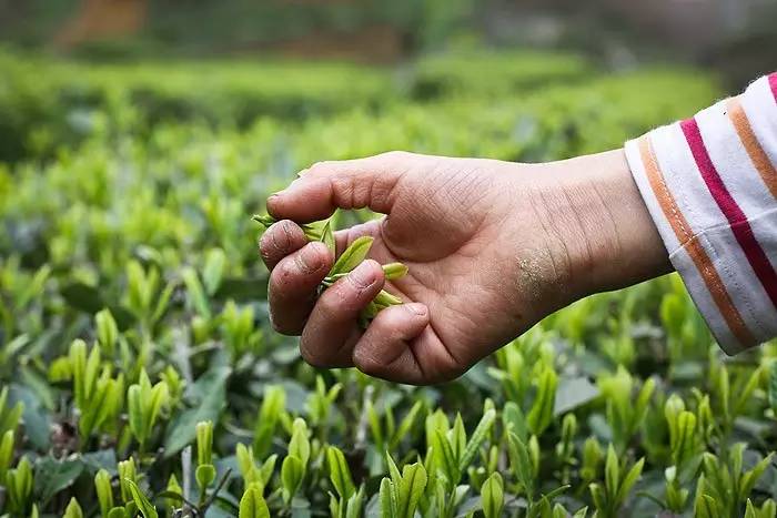 世界这么大我想去看看,世界这么大我想自己去看看