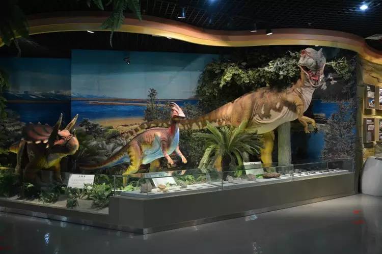 银川真的适合带孩子去吗,银川免费好玩的地方推荐