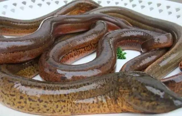 杈熻埃杩欎簺璋ｈ█浣犱俊杩囧悧,闈掔敯杈熻埃