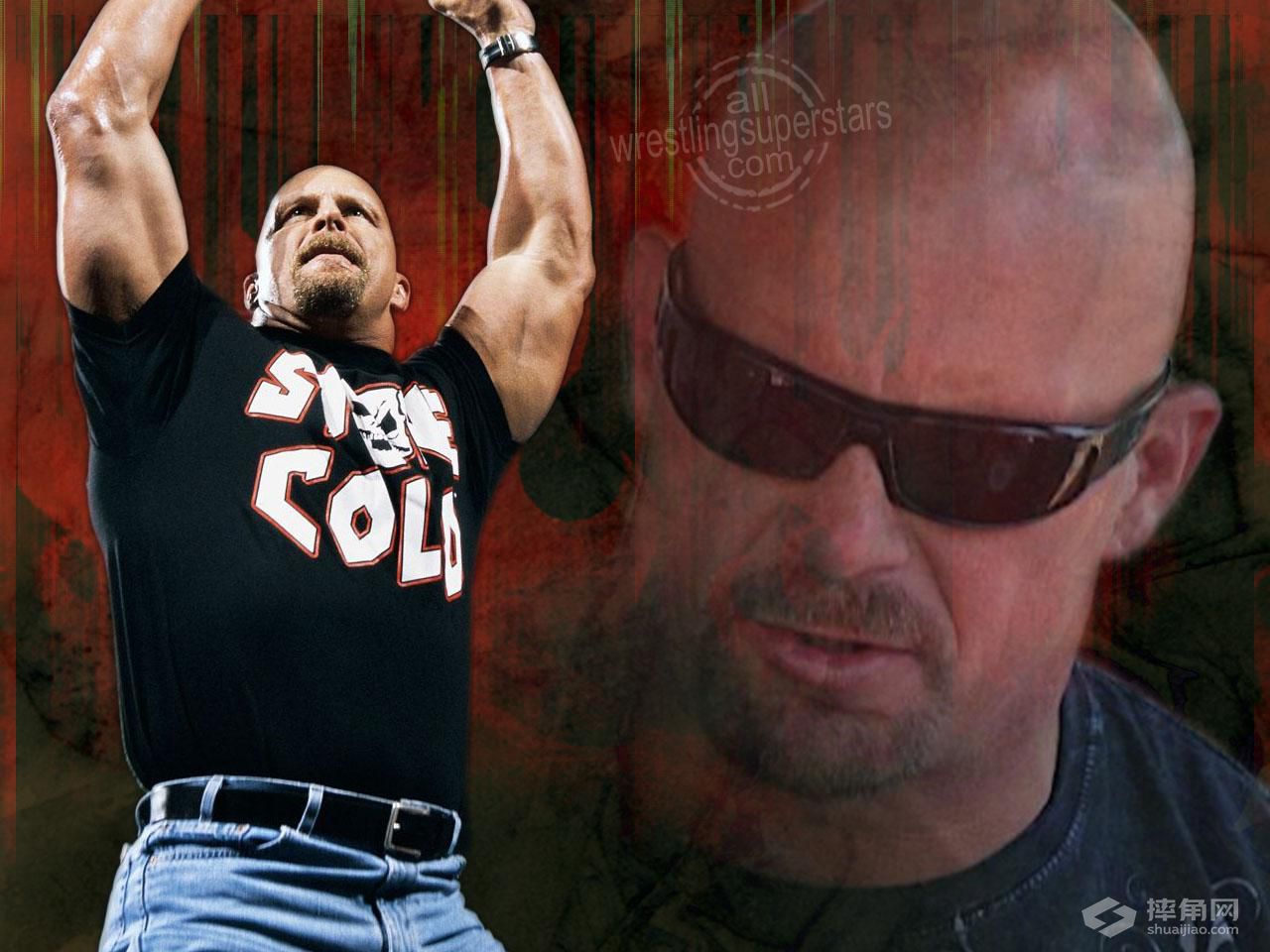 wwe奥斯丁退役演讲,wwe高柏和奥斯汀