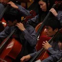 音乐节8月上海,上海8月演出安排表