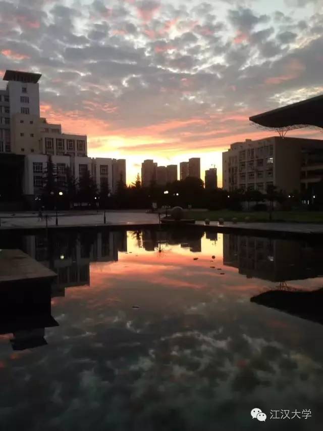 姹熷ぇ缇庢櫙,濮滃ぇ缇庝附