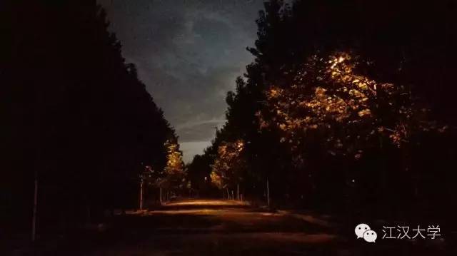 姹熷ぇ缇庢櫙,濮滃ぇ缇庝附