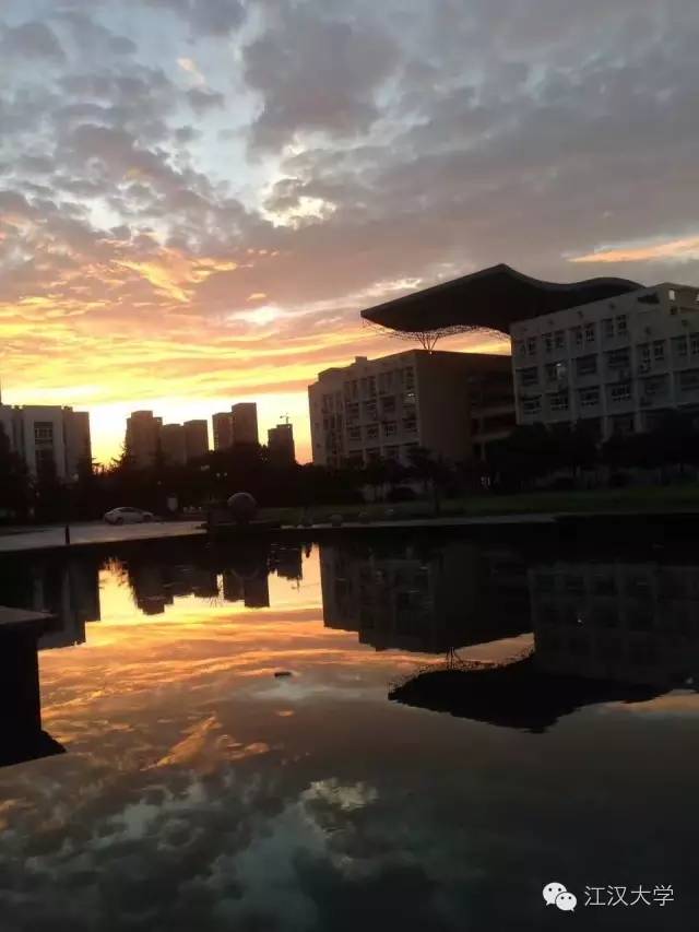 姹熷ぇ缇庢櫙,濮滃ぇ缇庝附