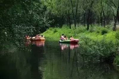 夏天天气这么热适合去哪儿玩,大暑去哪里玩比较凉快